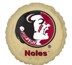 18" Collegiate Florida State